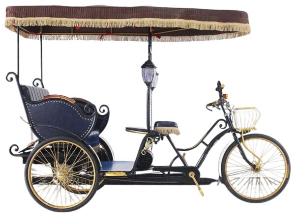 אופני כרכרה מפוארת